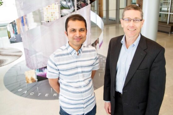 CAPTION Saurabh Sinha, a University of Illinois professor of computer science, left; and Gene Robinson, a professor of entomology and Carl R. Woese Institute for Genomic Biology director; and their colleagues warn that genomics data will likely surpass other Big Data in scale. CREDIT L. Brian Stauffer