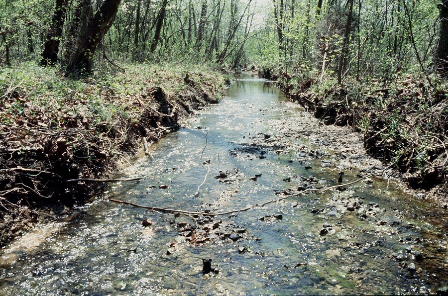 The Bear Creek watershed in Oak Ridge, TN, was a crucial site for the early development of nuclear weapons under the Manhattan Project and harbors spectacular geochemical gradients.