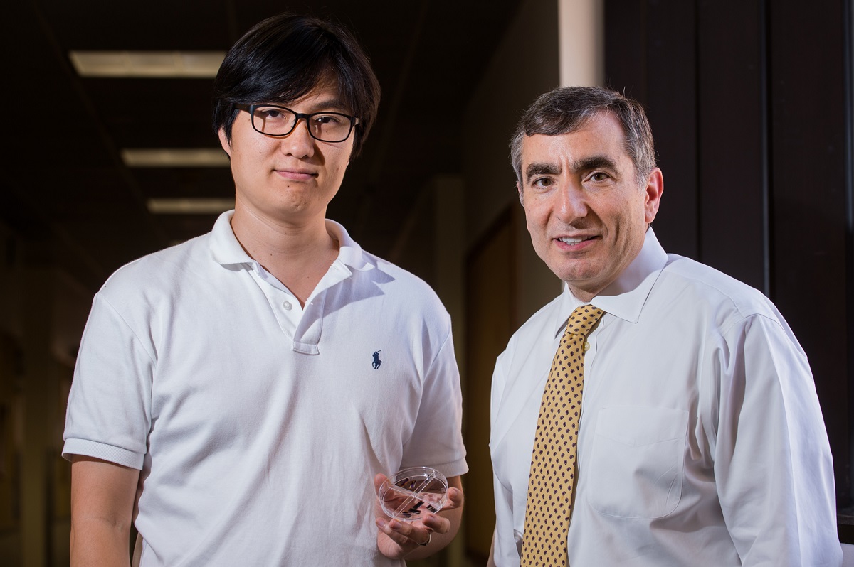 Rice University postdoctoral researcher Gunuk Wang, left, and chemist James Tour have demonstrated new techniques for using porous silicon oxide to make robust RRAM memory chips that can be easily manufactured with existing fabrication techniques. CREDIT: Jeff Fitlow/Rice University