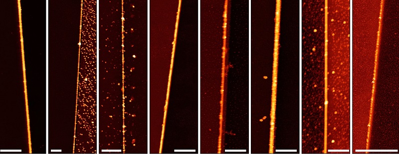 Water makes wires even more nano