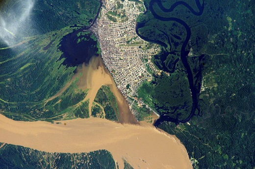 CAPTION A study in Iquitos, Peru, is focusing on how asymptomatic human carriers contribute to the spread of dengue fever, transmitted by the Aedes aegypti mosquito. "This information is important," says Emory University disease ecologist Gonzalo Vazquez-Prokopec, "because Latin America is more than 80 percent urban and the Aedes aegypti mosquito is in every town."