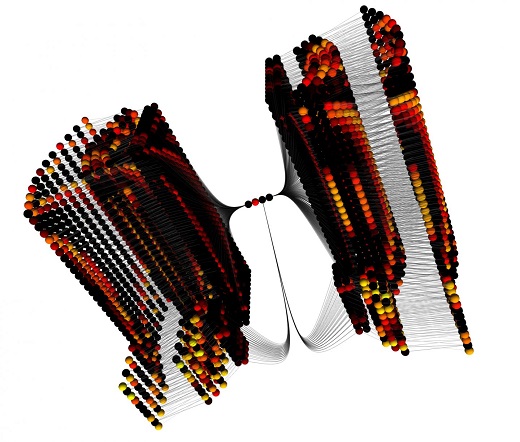 CAPTION This is a visualized snapshot in time of the model running. Each sphere represents a model neuron, with lines representing the connections between them, and the colors representing the output of each neuron. The outer layer is the input to the bee eyes, and this is processed by deeper layers of the brain in the center of the model.