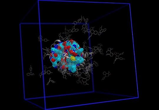 CAPTION Simulation of BRD4 interacting with a potent inhibitor. CREDIT Image courtesy of Dr. Bradley Dickson, Rothbart Laboratory, Van Andel Research Institute.