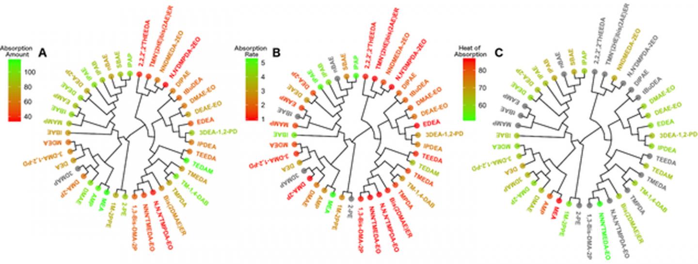 CAPTION Circular dendrograms show amine CO2 absorption amount (A), absorption rate (B) and heat of absorption (C). CREDIT Denis Fourches, NC State University