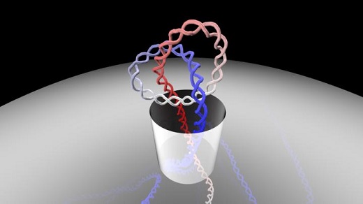 CAPTION How can long DNA filaments, which have convoluted and highly knotted structure, manage to pass through the tiny pores of various biological systems? This is the fascinating question addressed by Antonio Suma and Cristian Micheletti, researchers at the International School for Advanced Studies (SISSA) in Trieste who used computer simulations to investigate the options available to the genetic material in such situations. The study has just been published in PNAS, the journal of the National Academy of Sciences of the Unites States. CREDIT Antonio Suma, SISSA