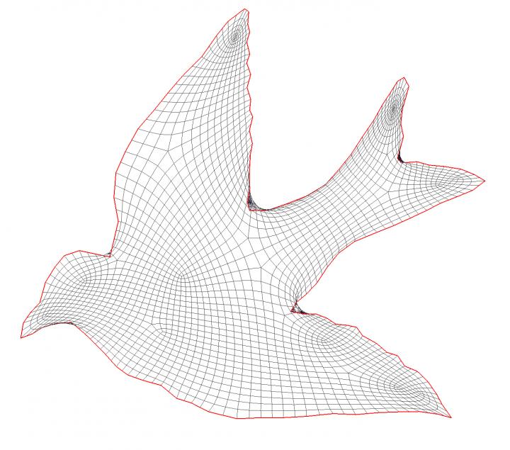 CAPTION Untangling quadrilateral meshes using locally injective mappings. CREDIT Krishnan Suresh