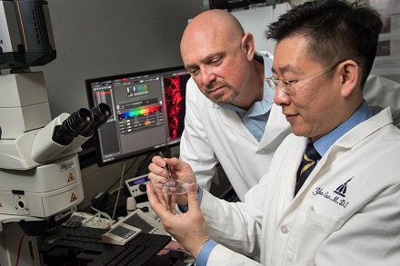 Gene Fridman (left) and Yun Guan examine a prototype of a device that delivers direct current safely.