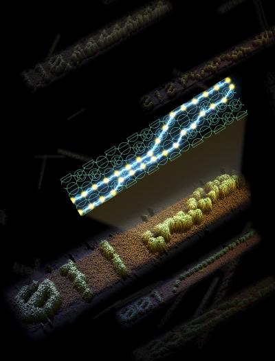 Artist's representation of a DNA computing system.