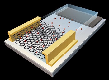 CAPTION Pitt engineers built a graphene-based artificial synapse in a two-dimensional, honeycomb configuration of carbon atoms that demonstrated excellent energy efficiency comparable to biological synapses