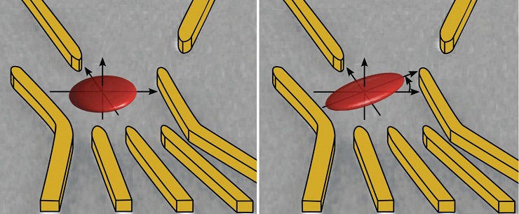 An electron is trapped in a quantum dot, which is formed in a two-dimensional gas in a semiconductor wafer. However, the electron moves within the space and, with different probabilities corresponding to a wave function, remains in certain locations within its confinement (red ellipses). Using the gold gates applied electric fields, the geometry of this wave function can be changed.