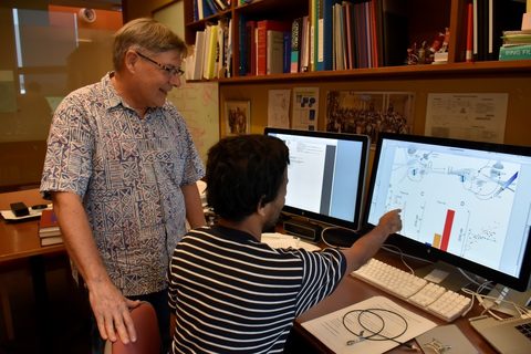 Professor Jeff Wickens and technician Kavinda Liyanagama study data from experiments looking at dopamine release in rat brains.