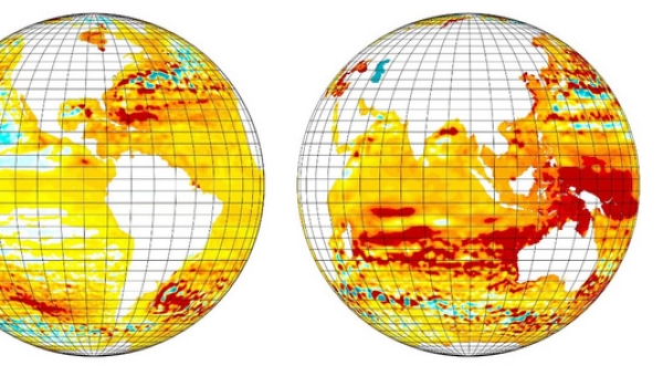 Global sea level changes in recent decades. Coastal cities with rising sea levels will be more vulnerable to ongoing global climate change. CREDIT Hongyin Chen Global sea level changes in recent decades. Coastal cities with rising sea levels will be more vulnerable to ongoing global climate change. CREDIT Hongyin Chen