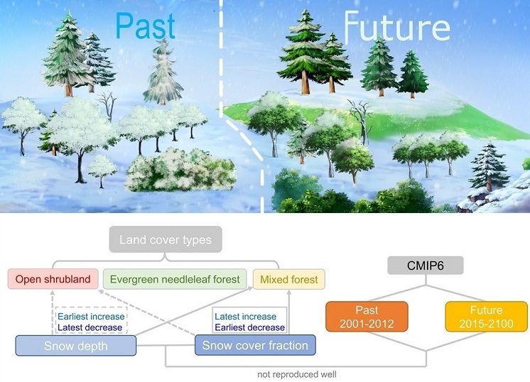 Schematic illustration of the study  CREDIT Xiaodan Guan