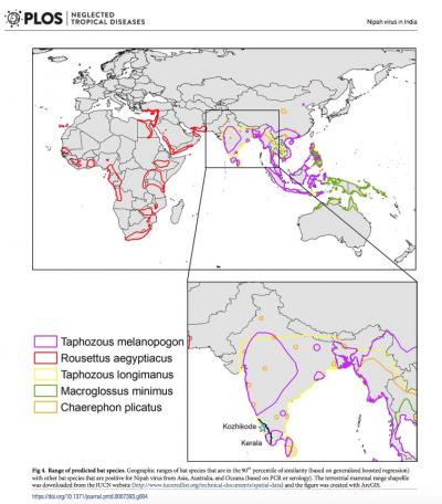 CAPTION Geographic ranges of bat species that are in the 90th percentile of similarity (based on generalized boosted regression) with other bat species that are positive for Nipah virus from Asia, Australia, and Oceana (based on PCR or serology).  CREDIT Plowright RK, Becker DJ, Crowley DE, Washburne AD, Huang T, Nameer PO, et al. (2019)