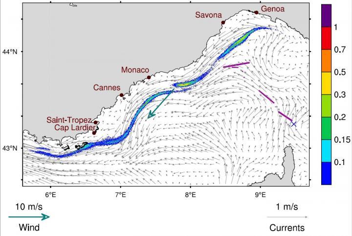 CAPTION Pink polygons indicate the area where the model was restarted from on 10 Oct. 2018. A blue cross marks the ships' point collision.  CREDIT ©Svitlana Liubartseva, CMCC Foundation