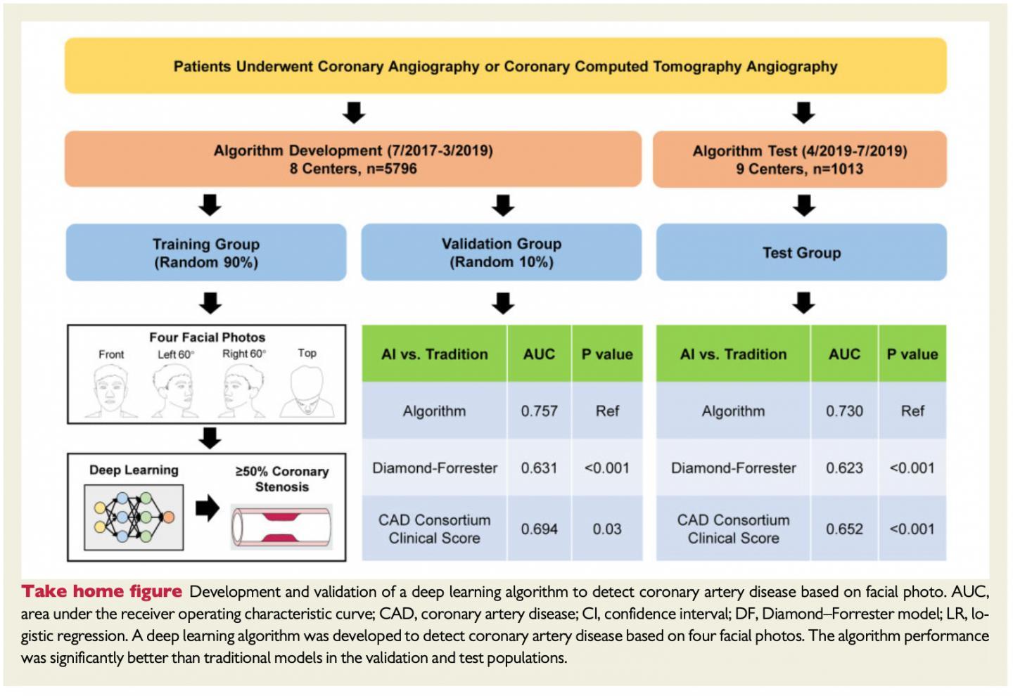 CAPTION Take-home figure from research paper  CREDIT European Heart Journal