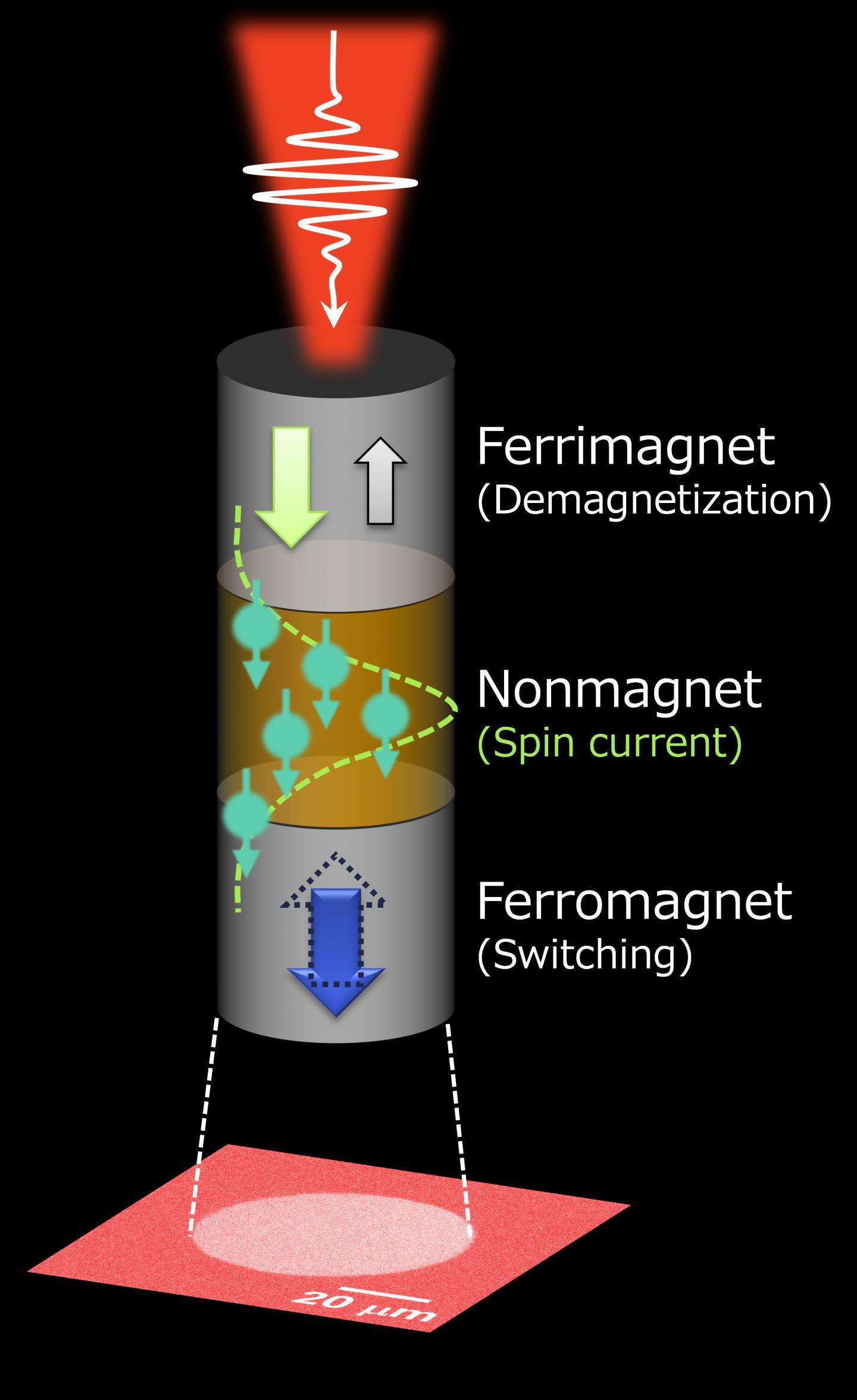 CAPTION A schematic illustration of the demonstrated ultrafast and energy efficient switching of ferromagnet driven by a single femtosecond laser pulse. The laser pulse demagnetizes the ferrimagnetic layer and generates a spin current, which travels through the nonmagnet and finally induces the switching of the ferromagnet. The lower image shows an observed magneto-optical Kerr effect micrograph showing the switching of the ferromagnetic layer.  CREDIT Shunsuke Fukami and Stéphane Mangin