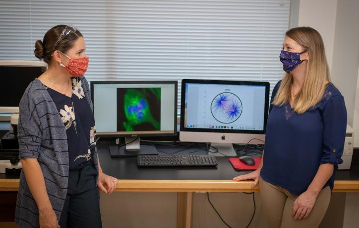 WPI professors Amity Manning (left) and Sarah Olson have teamed up to conduct cancer research.