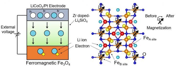 CAPTION Figure 1. After applying an external voltage, lithium ions flow through the reduction-oxidation transistor and reach the bottom magnetite film, altering its charge carrier concentration and modifying the orientation of Fe spins.  CREDIT Tohru Higuchi, Tokyo University of Science