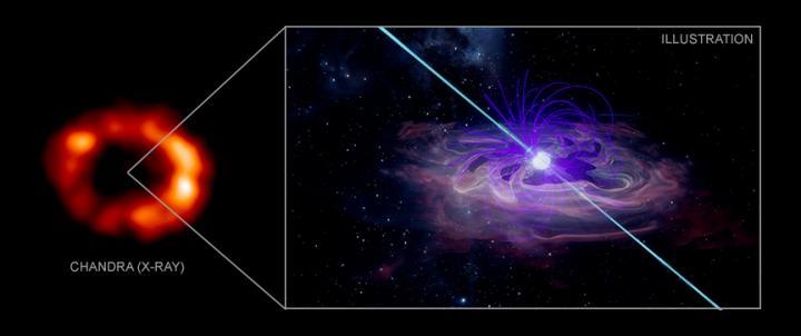 The panel on the left contains a 3D computer simulation, based on Chandra data, of the supernova debris from SN 1987A crashing into a surrounding ring of material. The artist's illustration (right panel) depicts a so-called pulsar wind nebula, a web of particles and energy blown away from a pulsar, which is a rotating, highly magnetized neutron star.  CREDIT Chandra (X-ray): NASA/CXC/Univ. di Palermo/E. Greco; Illustration: INAF-Osservatorio Astronomico di Palermo/Salvatore Orlando