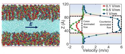 (left) Schematic of the PE-brush-grafted nanochannel system. (right) Flow reversal with applied electric field strength.  CREDIT T. H. Pial et al., ACS Nano, 2021, DOI: 10.1021/acsnano.0c09248