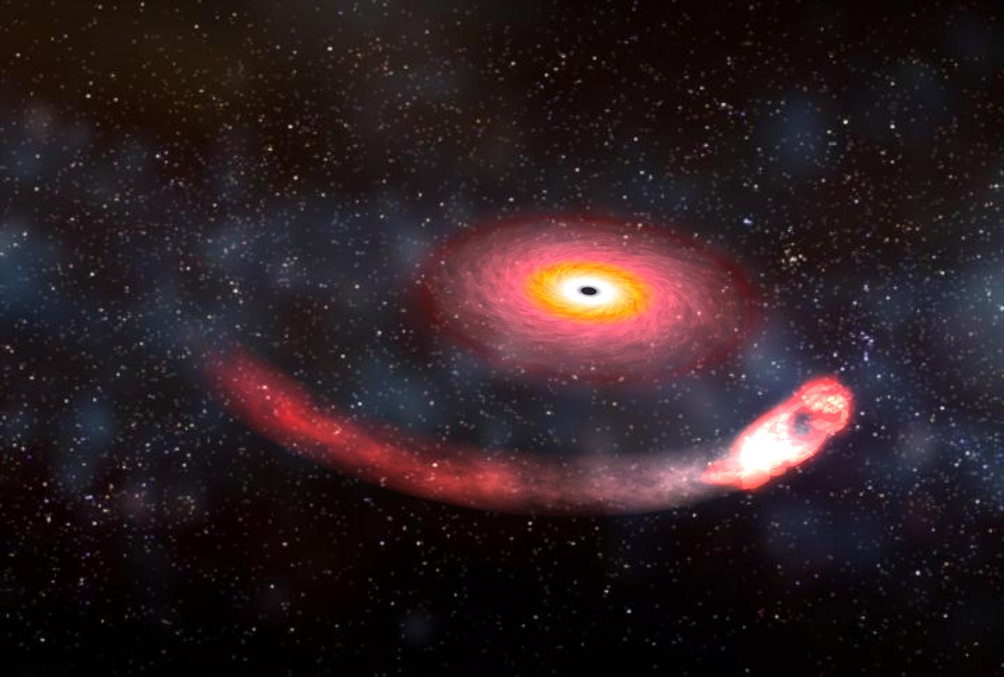 A still from a NASA animation of a black hole devouring a neutron star.  CREDIT Dana Berry/NASA