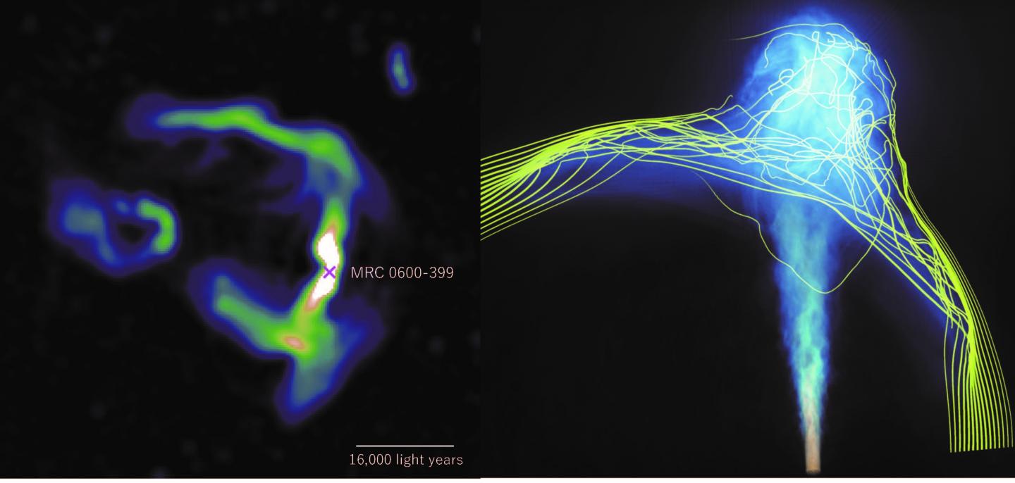 The bent jet structures emitted from MRC 0600-399 as observed by the MeerKAT radio telescope (left) are well reproduced by the simulation conducted on ATERUI II (right). The nearby galaxy B visible in the left part of the MeerKAT image is not affecting the jet and has been excluded in the simulation.  CREDIT Credit: Chibueze, Sakemi, Ohmura et al. (MeerKAT image); Takumi Ohmura, Mami Machida, Hirotaka Nakayama, 4D2U Project, NAOJ (ATERUI II image)