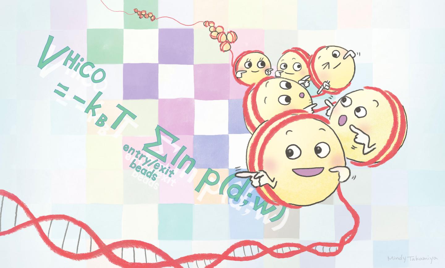 The research group has developed a new technology to analyze the 3D positions and orientations of nucleosomes using a next-generation genome sequencer and a supercomputer.  CREDIT Mindy Takamiya/Kyoto University iCeMS