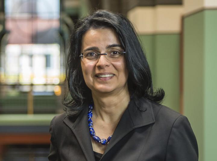 Lydia Kavraki is Rice University's Noah Harding Professor of Computer Science, a professor of bioengineering, mechanical engineering and electrical and computer engineering, and director of Rice's Ken Kennedy Institute.