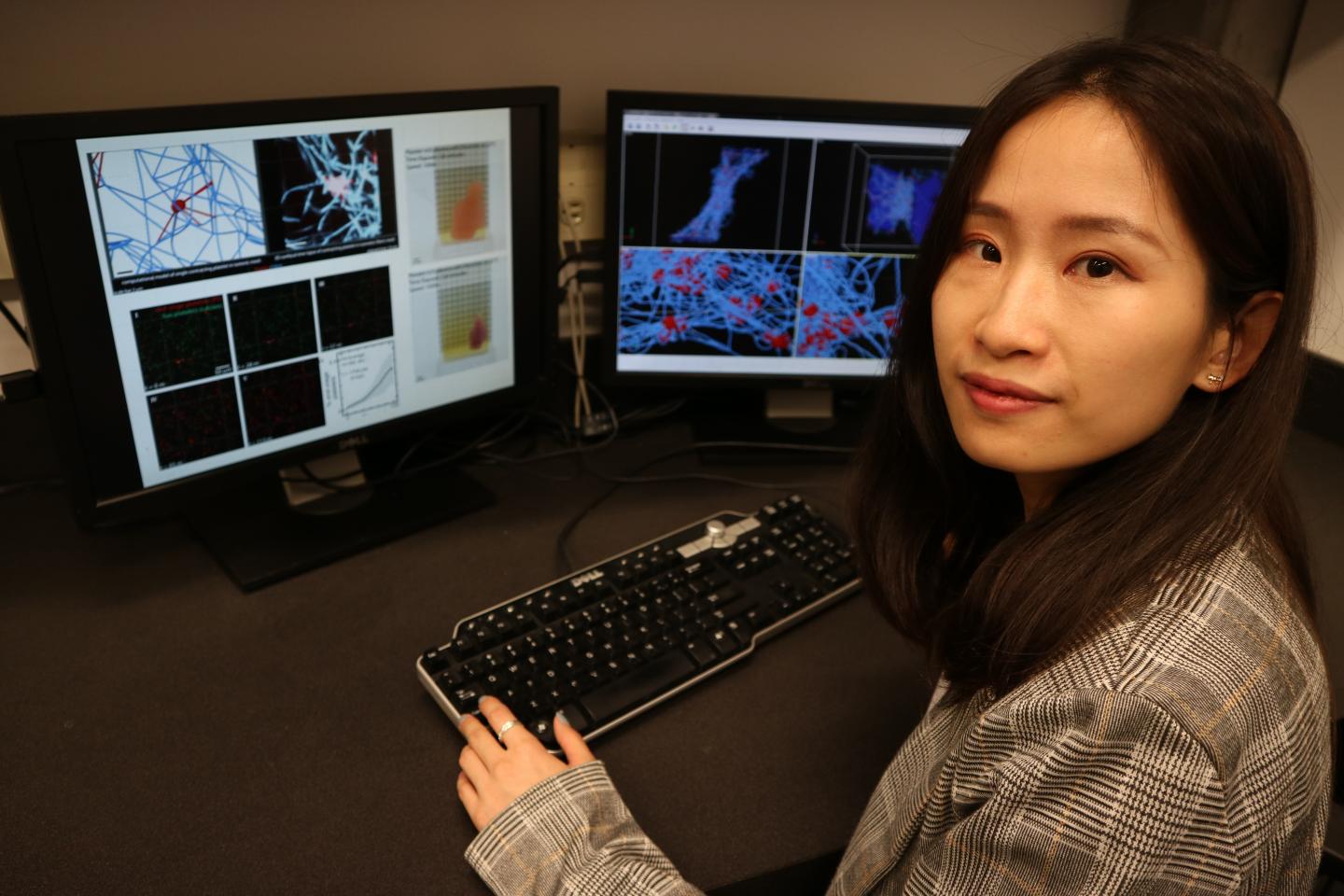 First author Yueyi Sun inside Georgia Tech's Complex Fluids Modeling and Simulation lab, where she compares the experimental and simulated platelet-driven fibrin clot contraction process.  CREDIT Alexander Alexeev, Georgia Tech