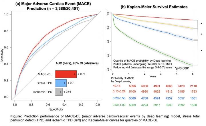 Prediction performance