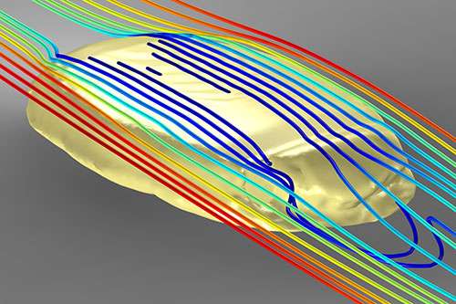 SuperComputer simulation of water flow around a 3-D model of Protocinctus mansillaensis. Credit: I.A. Rahman