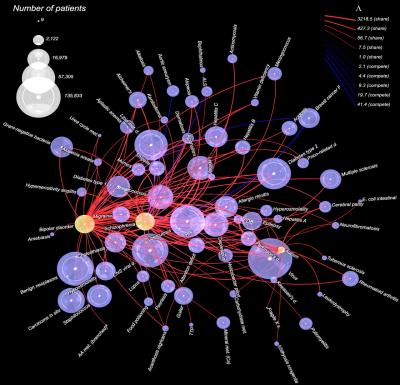 This is a demonstration of the overlapping expression of mental disorders gathered from 1.5 million patient records.  Credit: Image courtesy of Andrey Rzhetsky/University of Chicago. Published in PNAS, 2007.