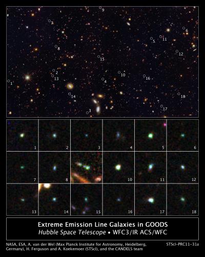 This image reveals 18 tiny galaxies uncovered by NASA's Hubble Space Telescope. The puny galaxies, shown in the postage stamp-sized images, existed nine billion years ago and are brimming with star birth. Hubble's Wide Field Camera three and Advanced Camera for Surveys spied the galaxies in a field called the Great Observatories Origins Deep Survey (GOODS). The galaxies are among 69 dwarf galaxies found in the GOODS (marked by green circles in the large image) and other fields. Images of the individual galaxies were taken November 2010 to January 2011. The large image was taken between Sept. 2002 and Dec. 2004, and between Sept. 2009 and Oct. 2009.  Credit: Credit: NASA, ESA, A. van der Wel (Max Planck Institute for Astronomy, Heidelberg, Germany), H. Ferguson and A. Koekemoer (STScI.), and the CANDELS team