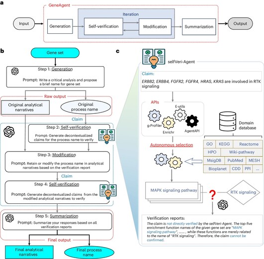 NIH researchers develop GeneAgent AI for gene-set analysis