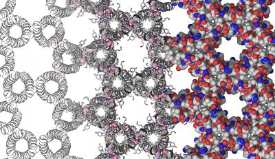 This is an illustration of the researchers' target protein crystal.  Credit: Christopher MacDermaid, University of Pennsylvania