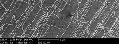 Engineers from Stanford and the University of Southern California have found a way to design circuits containing carbon nanotubes that should work even when many of the nanotubes are twisted or misaligned.  Credit: Subhasish Mitra, Stanford University School of Engineering