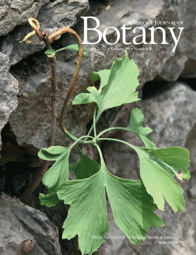 This is the American Journal of Botany August 2012 cover. The issue contains the article Ontologies as integrative tools for plant science by Ramona Walls et al.  Credit: Cindy Q. Tang