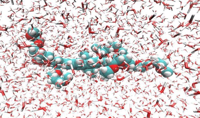 Representation of the organic molecules studied, surrounded by water molecules (image: Tárcius Nascimento Ramos)