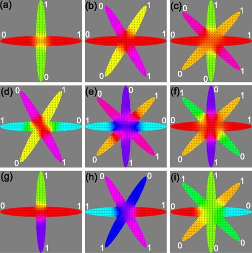 (a)–(c) Micromagnetic simulated OSs of 2CEs, 3CEs, and 4CEs, respectively, which can be stabilized by an external magnetic field. (d)–(f) Simulated SSs generated by selectively manipulating the entire individual ellipses of 3CEs and 4CEs, respectively, which cannot be stabilized by the external magnetic field. (g)–(i) Simulated NSs generated by stabilizing the magnetization of both edges of individual ellipses in opposite directions for 2CEs, 3CEs, and 4CEs, respectively. The arrows indicate the direction of magnetization. Ones and zeroes at the edges of the ellipses indicate outward and inward magnetization, respectively.