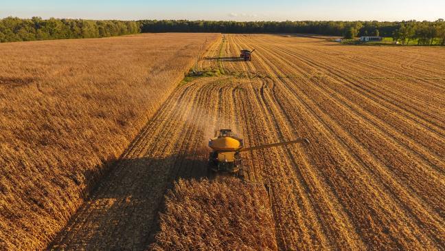 Expansion of agricultural land and the application of nitrogen fertilizers have driven an increase in nitrous oxide emissions from U.S. soils, according to a new study from ISU researchers. Photo by Loren King.