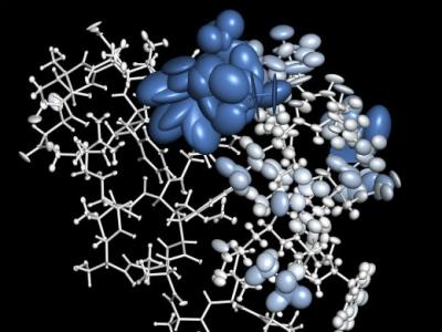 This is an atomistic model of the protein villin headpiece. Color and the size of ellipsoids capture the local dynamics of individual atoms.  By Bojan Zagrovic