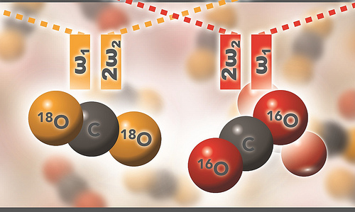 Carbon dioxide molecules with different types of oxygen show up differently in Raman spectroscopy.