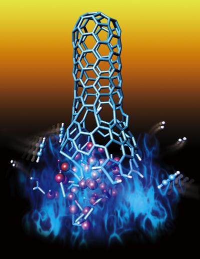 This is a carbon nanotube growth. This is a carbon nanotube growth.