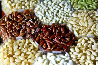 Grains of rice reveal just a tiny proportion of the variation of traits in the over 40,000 different varieties of rice in the world.