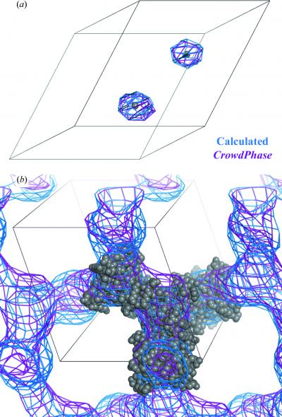 Caption: This is an overlay of electron-density maps calculated from the final crowdsourced phase solutions and the true phases for the two test cases.