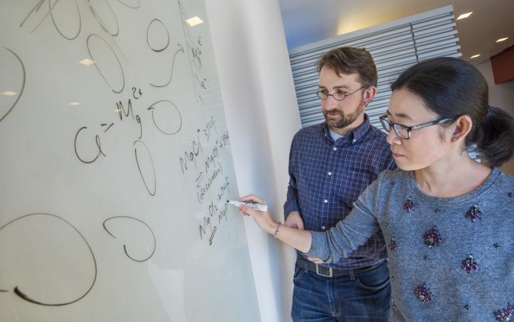 David Prendergast and Liwen Wan at the Molecular Foundry used supercomputer simulations to dispel a popular misconception about magnesium-ion batteries that should help advance the technology in the future.  Credit: Photo by Roy Kaltschmidt, Berkeley Lab