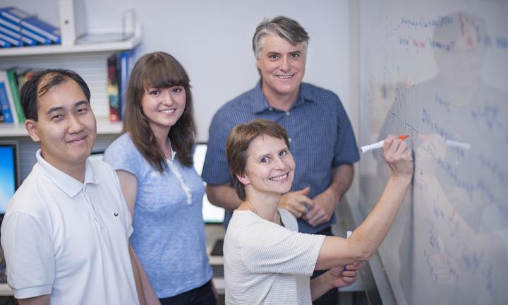 Dr Andrey Kan, Ms Julia Marchingo, Dr Susanne Heinzel and Professor Phil Hodgkin have combined mathematics and laboratory studies to define how the size of the immune response is controlled.