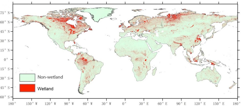 This figure shows a global wetland suitability model. Wetlands are among the most productive ecosystems on Earth. Yet with increasing urbanization and agricultural expansion, wetlands around the globe are in danger. Better mapping of wetlands worldwide will help in their protection.