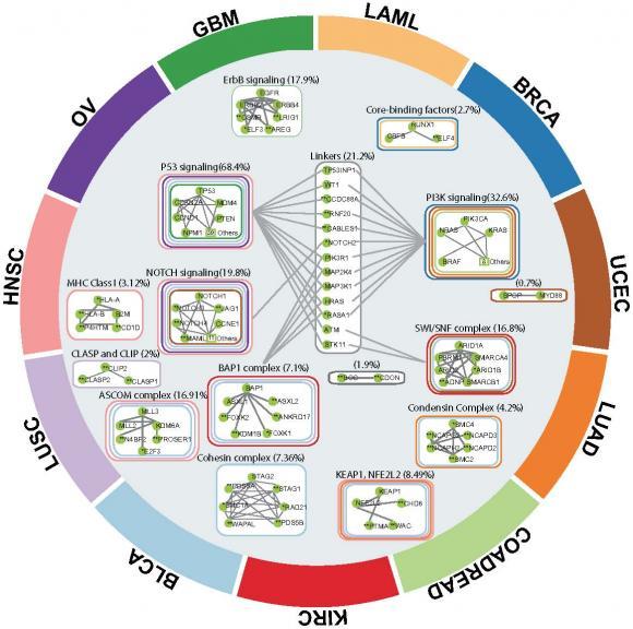 An algorithm called HotNet2 helps define the terrain for complex genetic associations involved in cancer. 'The next step,' says researcher Ben Raphael, 'is translating all of this information from cancer sequencing into clinically actionable decisions.'